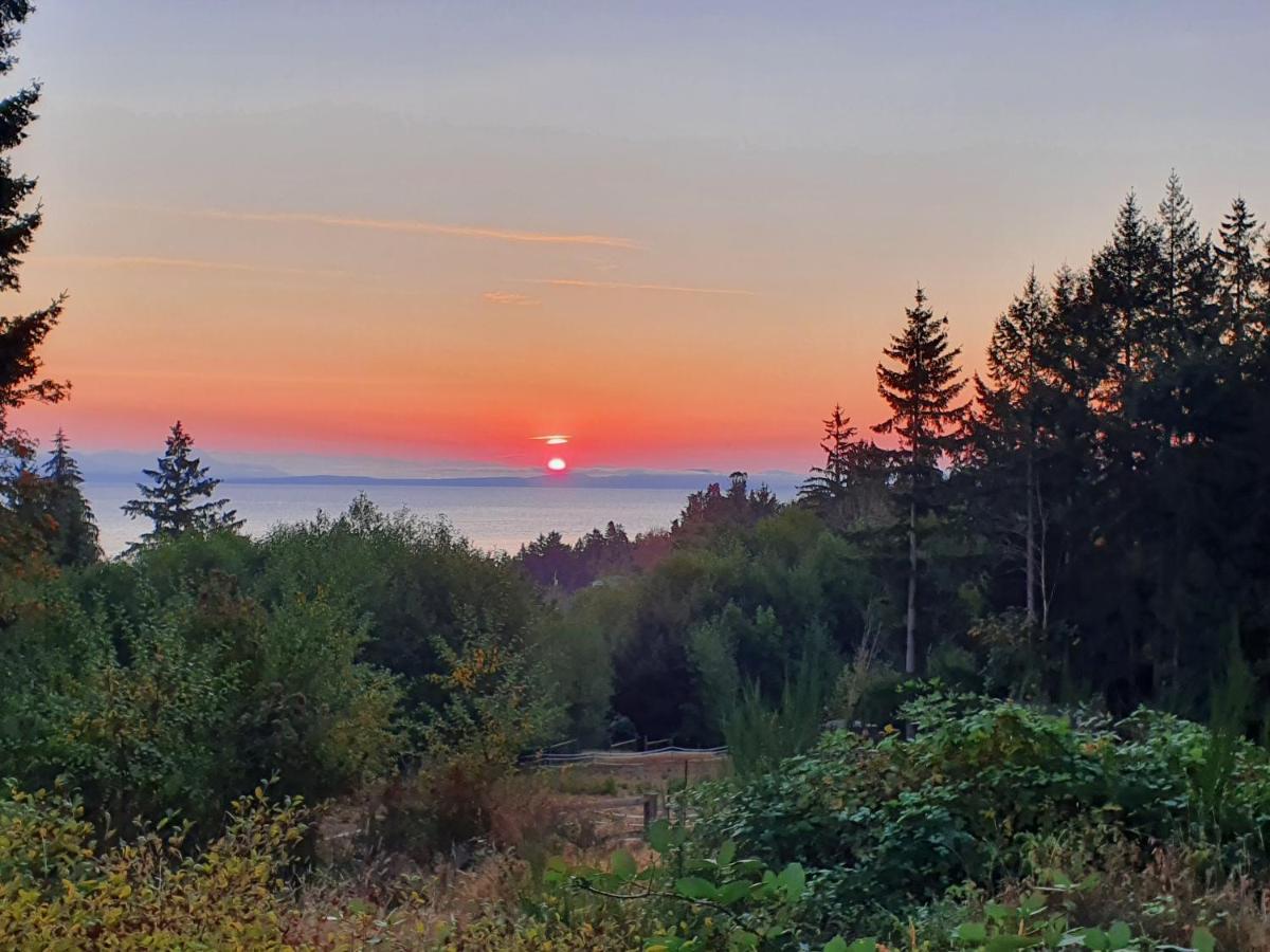 Forest By The Sea Rentals Merville Zewnętrze zdjęcie