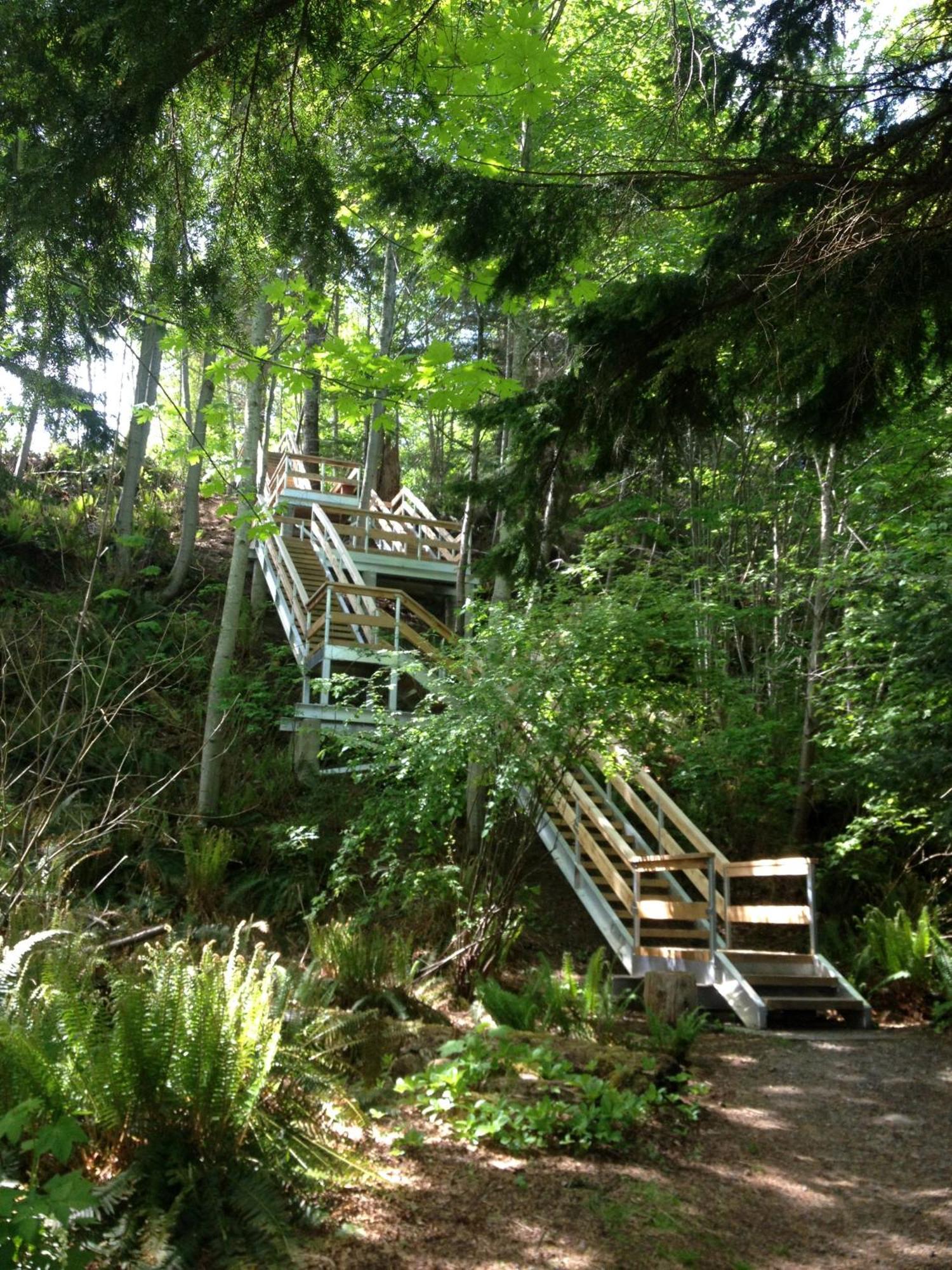Forest By The Sea Rentals Merville Zewnętrze zdjęcie